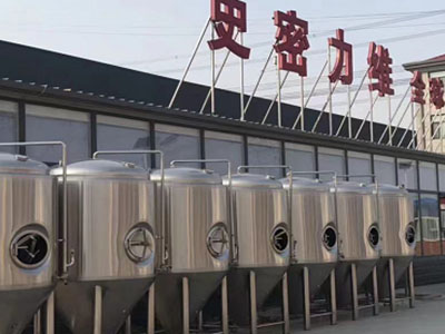 平定精酿啤酒设备厂—市场规模与跨界新需求